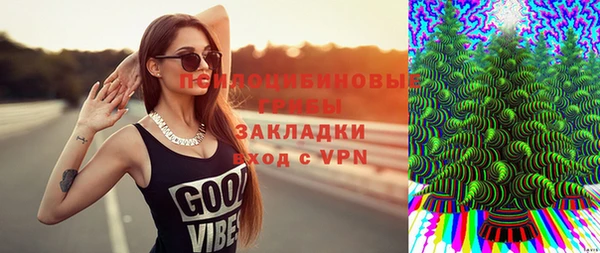 твердый Арсеньев