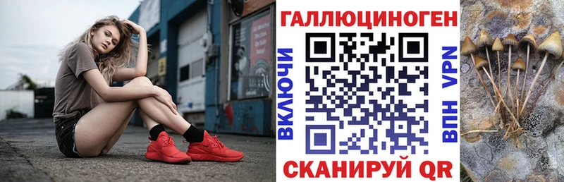 Галлюциногенные грибы Psilocybe  Касли 
